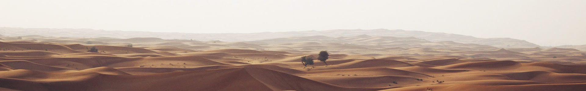 ޼ػװβ޹˾